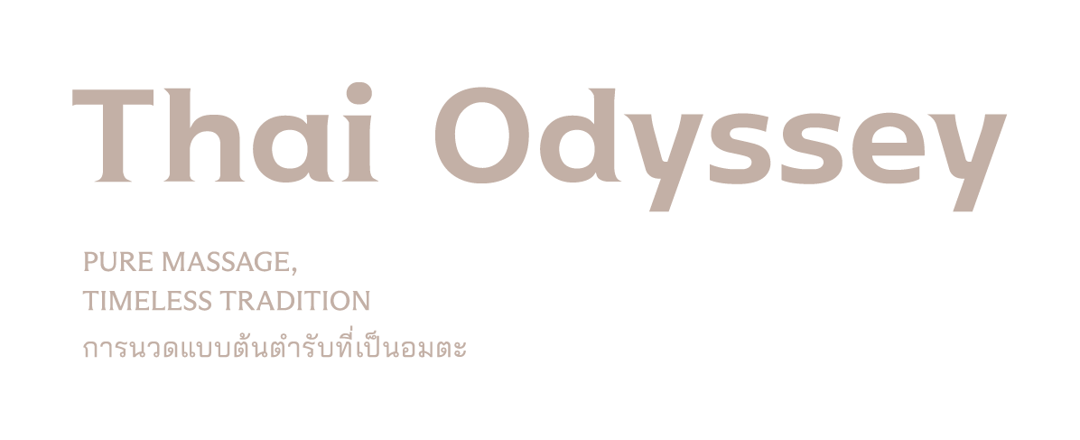 logo EV Power Solutions